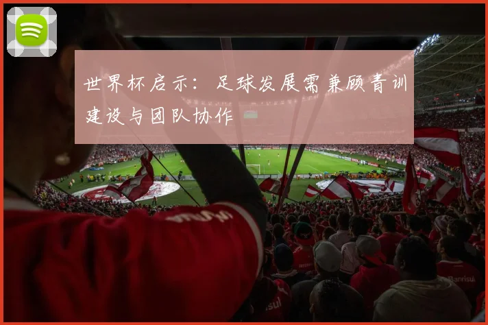 世界杯启示:足球发展需兼顾青训建设与团队协作