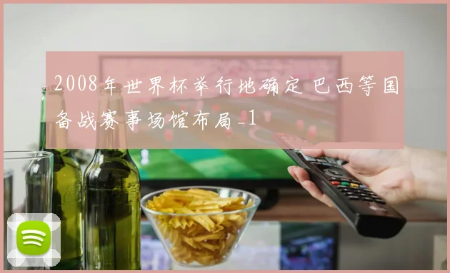 2008年世界杯举行地确定 巴西等国备战赛事场馆布局_1
